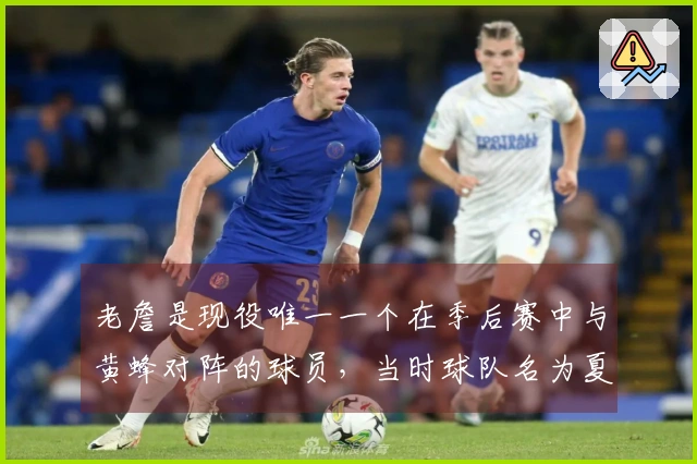 老詹是现役唯一一个在季后赛中与黄蜂对阵的球员，当时球队名为夏洛特山猫！