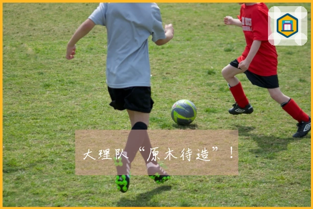 大理队“原木待造”！